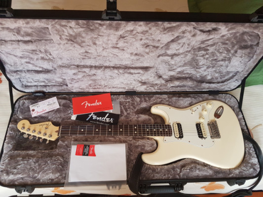 Fender Stratocaster Professional