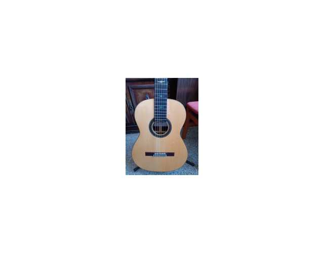 Guitarra Camps SP6 maciza con previo fishman prefix -plus