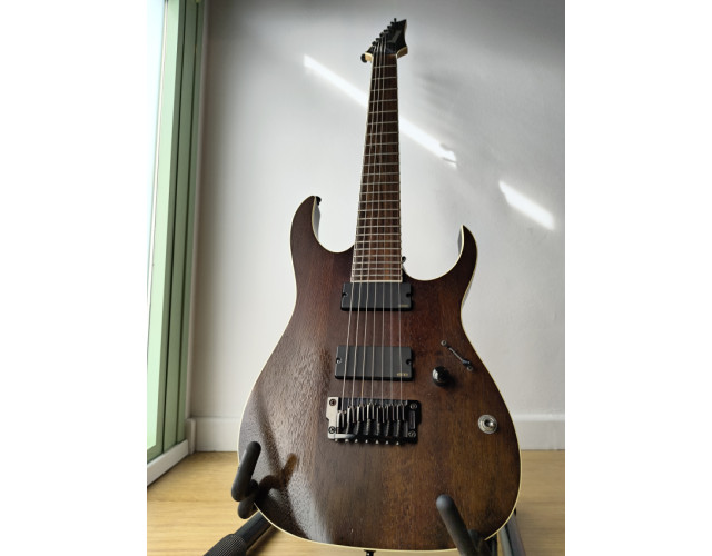 Ibanez RGIR27BFE Iron Label + Hard Case