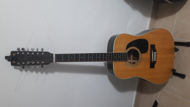 Guitarra 12 cuerdas