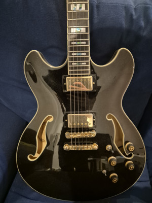 Ibanez AS153B