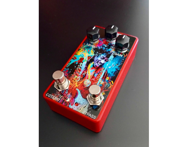 ENVIO INCLUIDO Tipo Octavio FUZZ/Dist