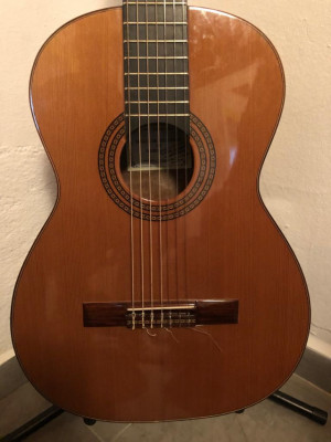 Guitarra 7 cuerdas Luthier