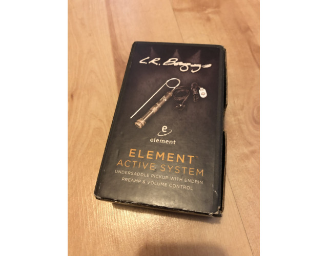 Lr Baggs Element nueva