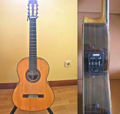 Guitarra Amalio Burguet de 1ª Año1998