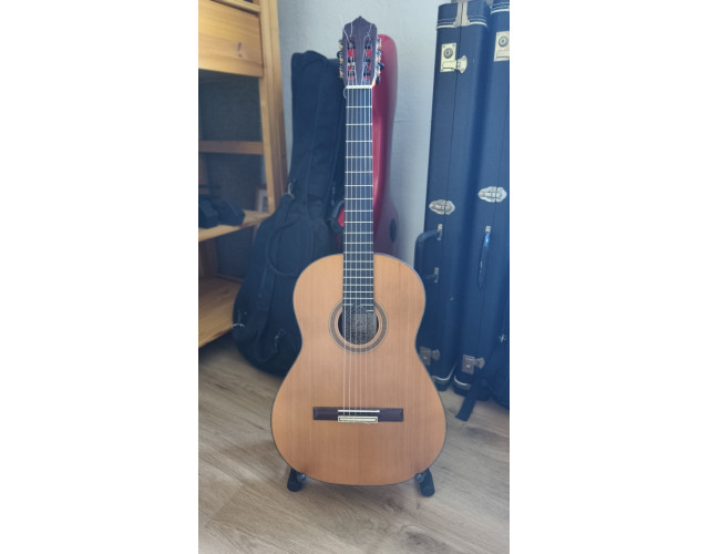 Guitarra clásica de concierto