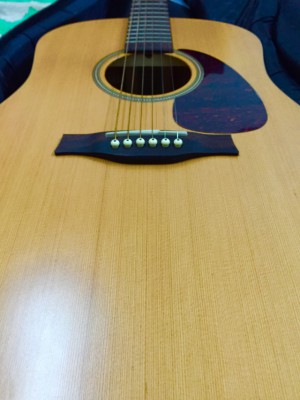 Guitarra Electro Acustica Seagull S6 QI