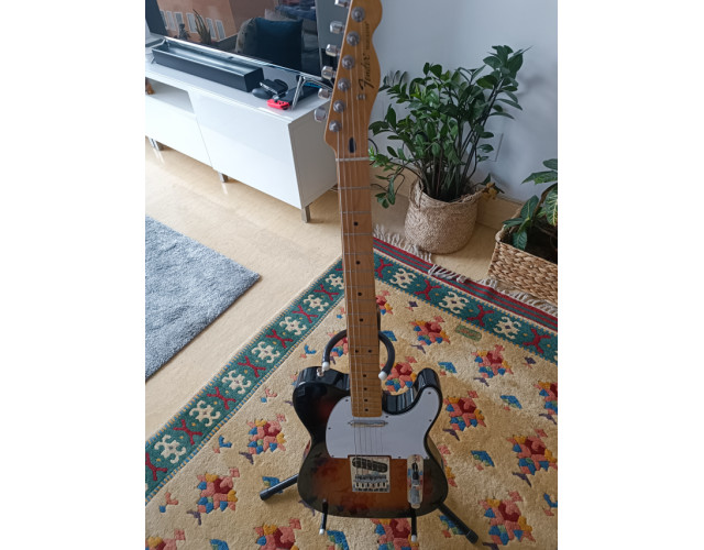 Fender Telecaster MN MX set custom Tex special