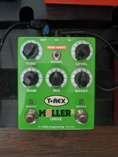 T-Rex Moller 2