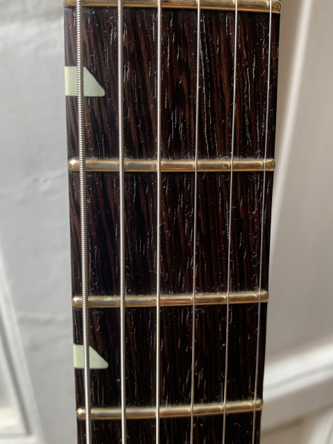 Fidelity Guitars Stellarosa
