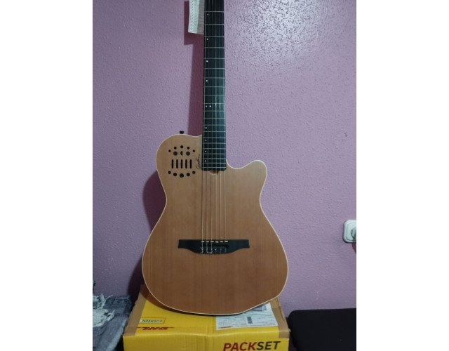 Guitarra Godin ACS SA