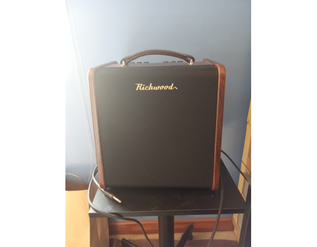 Amplificador Para Guitarra Acustica RichWood RAC-50 W
