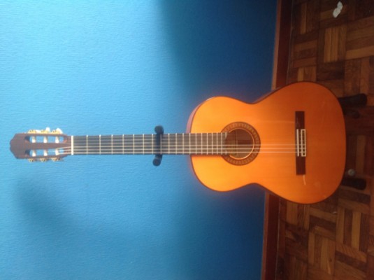 Vendo guitarra flamenca de estudio Raimundo 145 (SOLO CAMBIO POR JAZZ BASS)