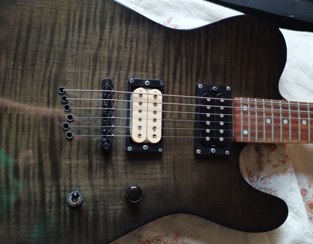 KOHLER telecaster de luxe