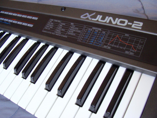 Roland Alpha Juno 2