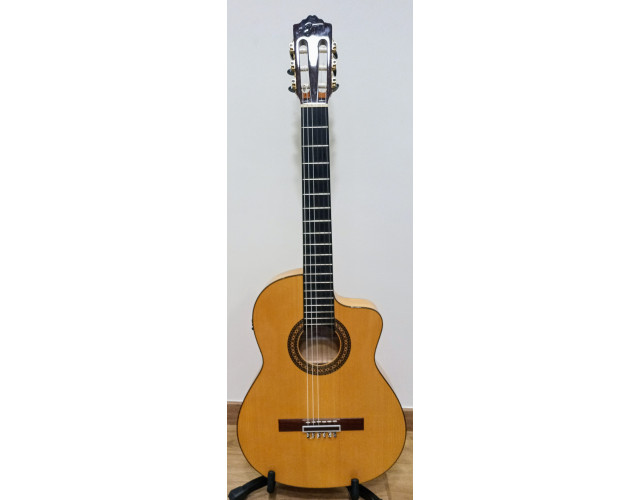 José Torres JTF-50 CE (precio negociable)