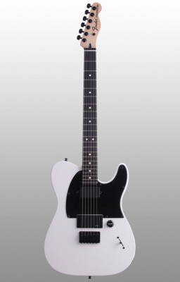 Fender telecaster Jim root