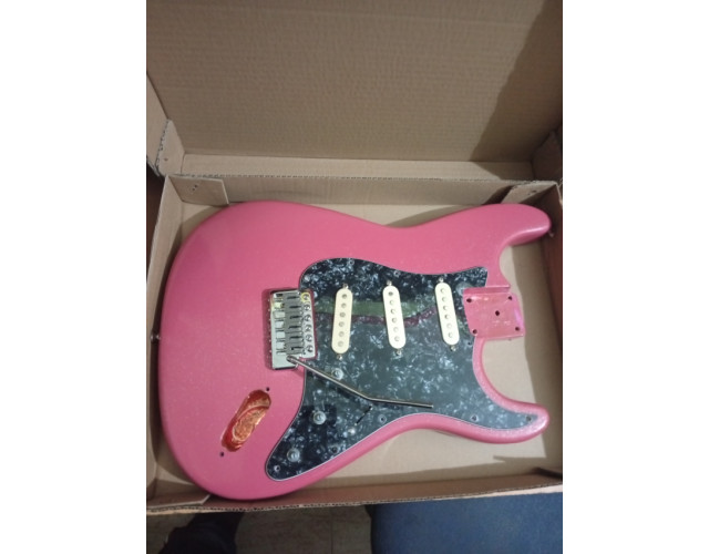 Cuerpo stratocaster completo