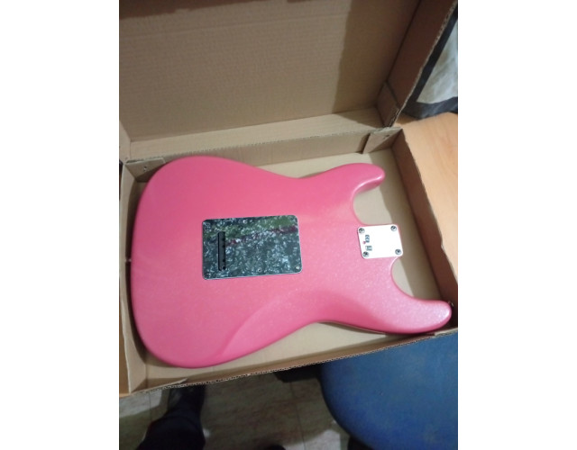 Cuerpo stratocaster completo