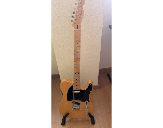 Fender Telecaster Standard