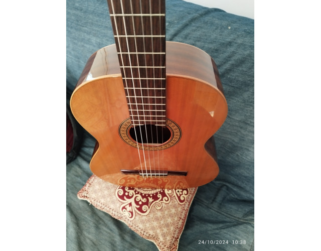 Guitarra Raimundo 118