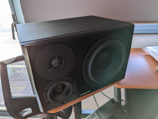 Monitor Dynaudio LYD-48