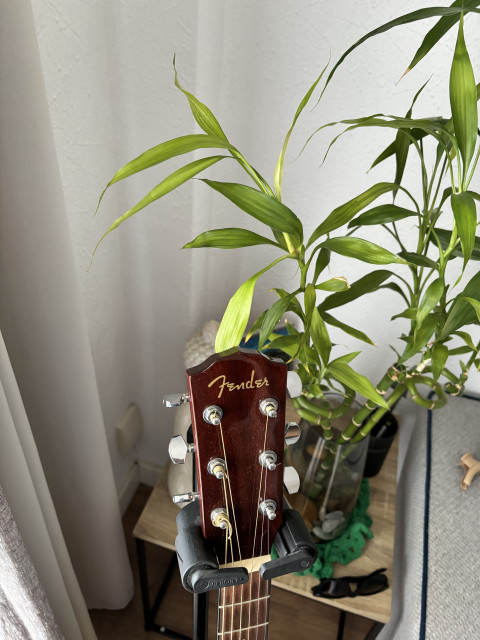 Guitarra acústica Fender mahogany