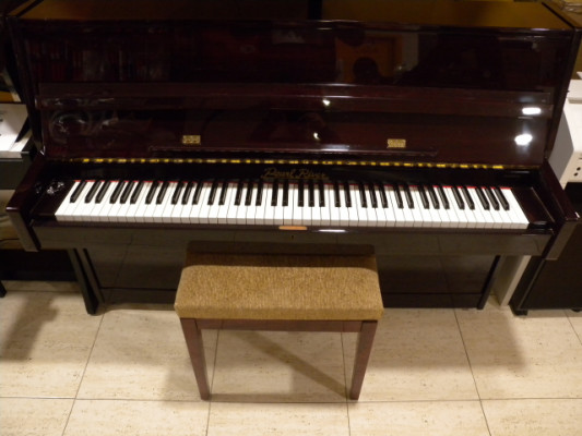 Piano Pearl River PD180D