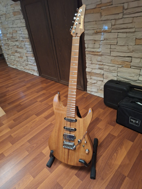 Ibanez tom quayle