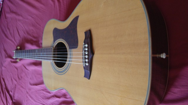 Tanglewood tw170 as