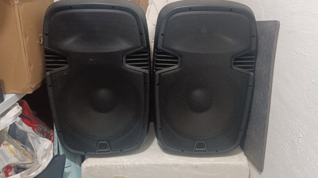 2 Audibax arkansas 15 pulgadas 400w vendo o cambio