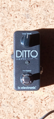 TC Electronic Ditto Looper (envío incluido)