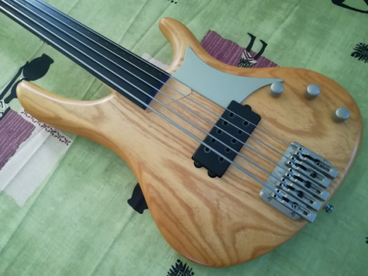 ULTIMAS 48 HORAS Bajo Washburn Bantam RB-2500F (5 Cuerdas Fretless,Corea)