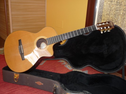 Taylor NS-72 Nylon strings