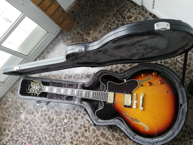 Epiphone Sheraton II