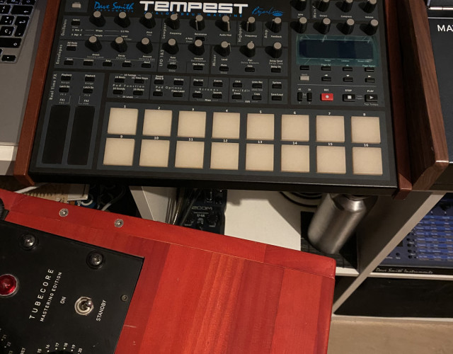 Caja de ritmos y sintetizador Dave Smith Instruments Tempest