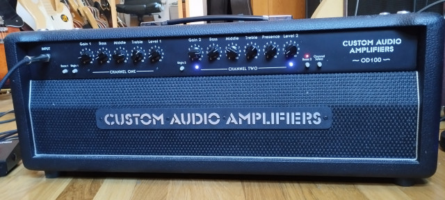 Custom Audio OD100 SE
