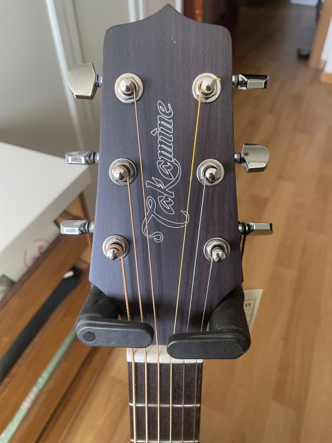 Takamine GD20 NS