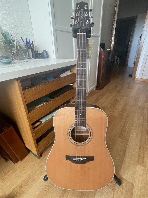 Takamine GD20 NS