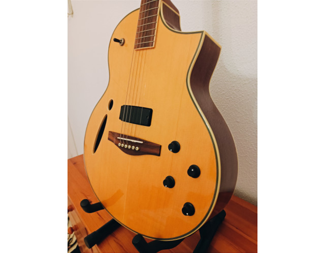 Ibanez Montage MSC 350 MT
