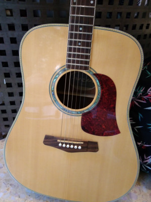 Acústica Aria AW 630