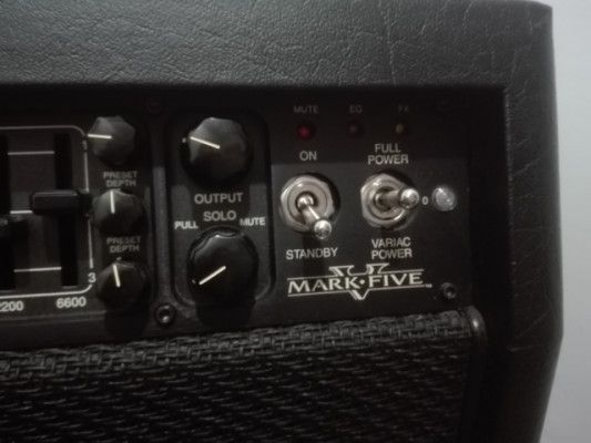 Mesa Boogie Mark V Combo