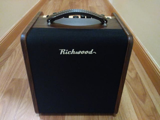Amplificador Richwood Rac-50 de Guitarra Acústica y/o Clásica