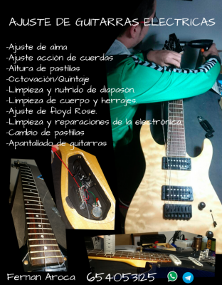 (Luthier)Puesta a punto de guitarras Sierra Sur Sevillana