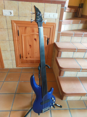 Cort Curbow fretless hecho en Korea 2004 / Bartolini / Fishman