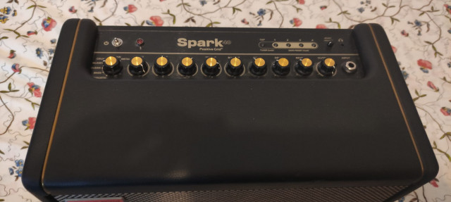 Positive Grid Spark Amp