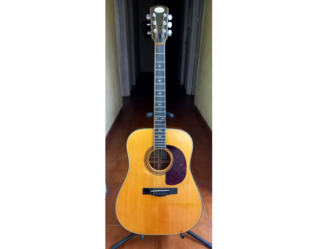 Guitarra Levin W32 del 1974