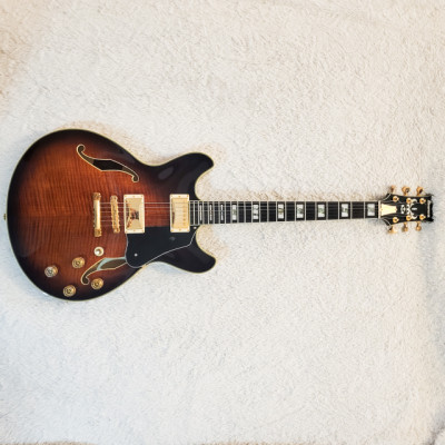 Guitarra eléctrica Ibanez JSM-100 VT John Scofield