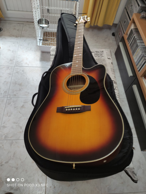 Vendo Daytona electroacústica.
