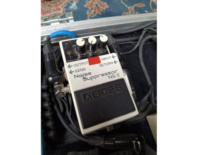 Puerta de Ruido BOSS NS-2